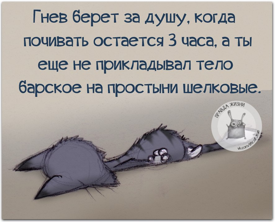 А все таки как хорошо когда за спиной много глупостей и ни одной подлости картинки