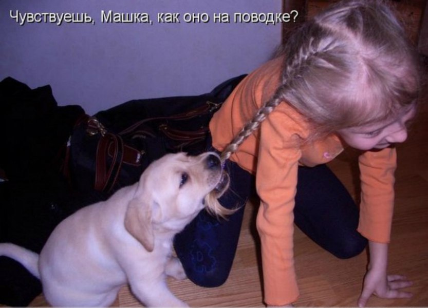 Фото Про Животных С Надписью