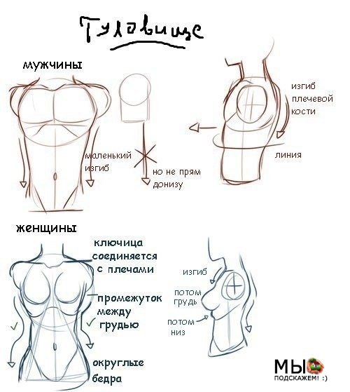 Как рисовать женскую грудь карандашом