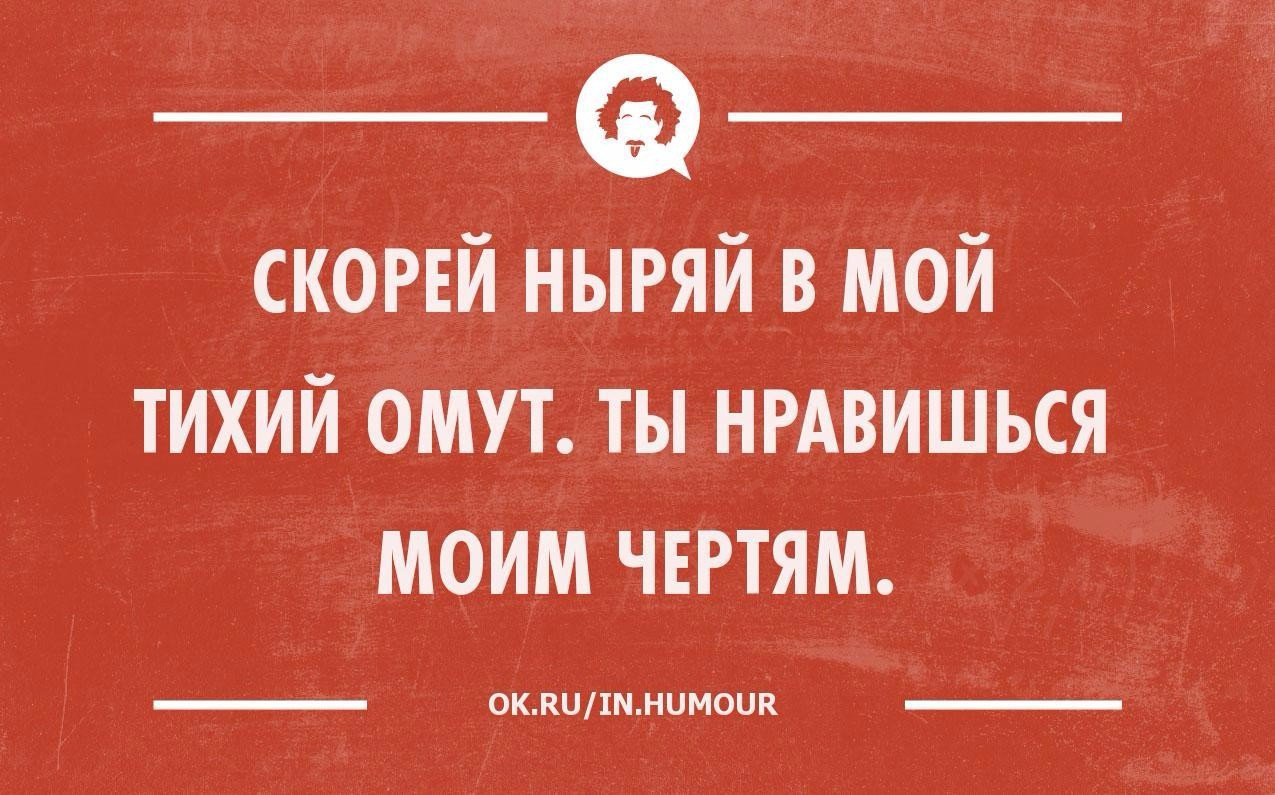 В тихом омуте черти. В тихом омуте шутка. В тихом омуте прикол. Черти в омуте.