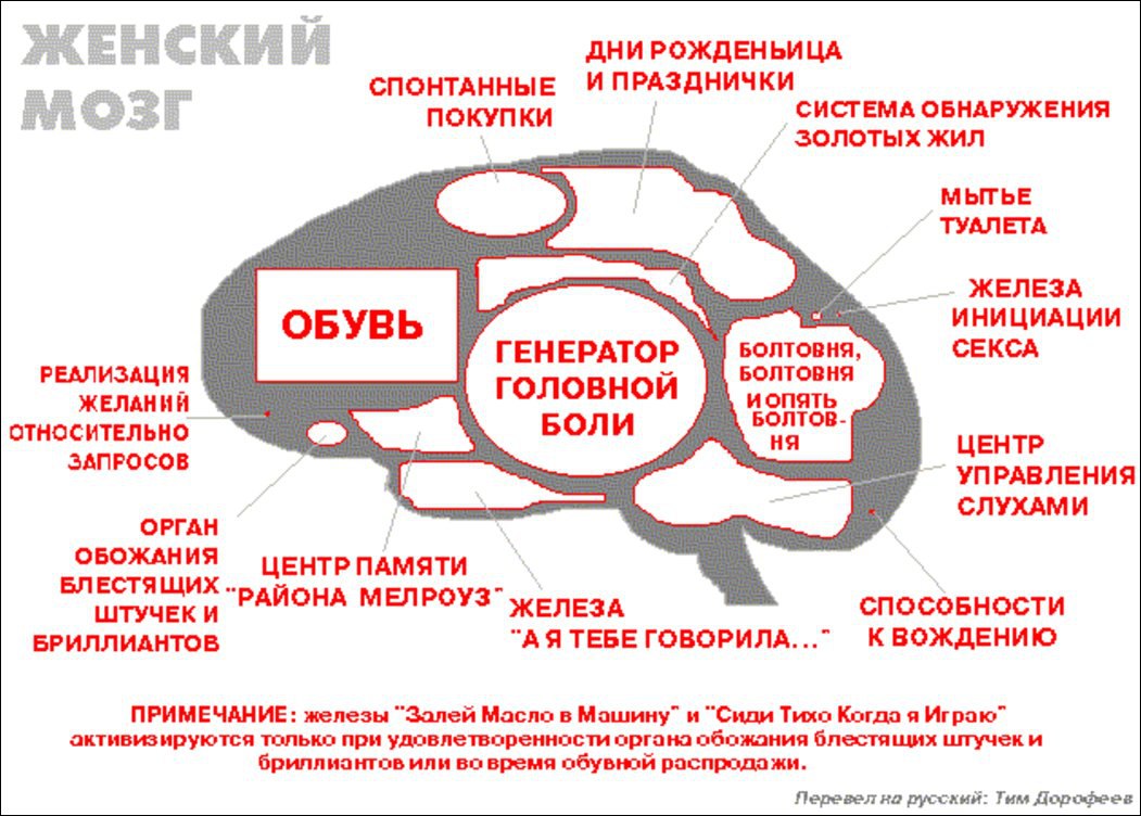 Картинка мой мозг похож на браузер