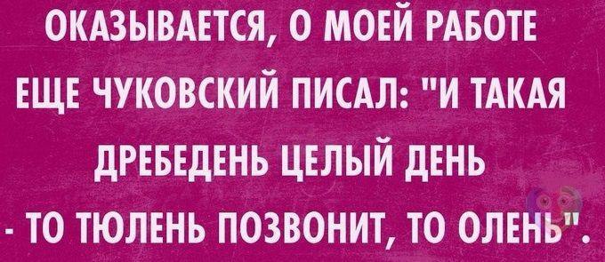 И такая дребедень целый день то тюлень позвонит то олень картинка