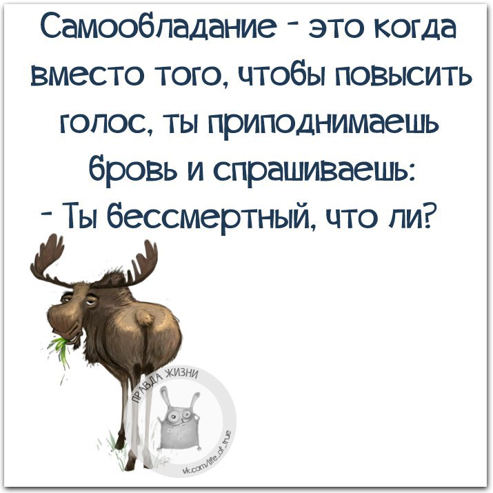 Правда жизни картинки с надписями прикольные смешные