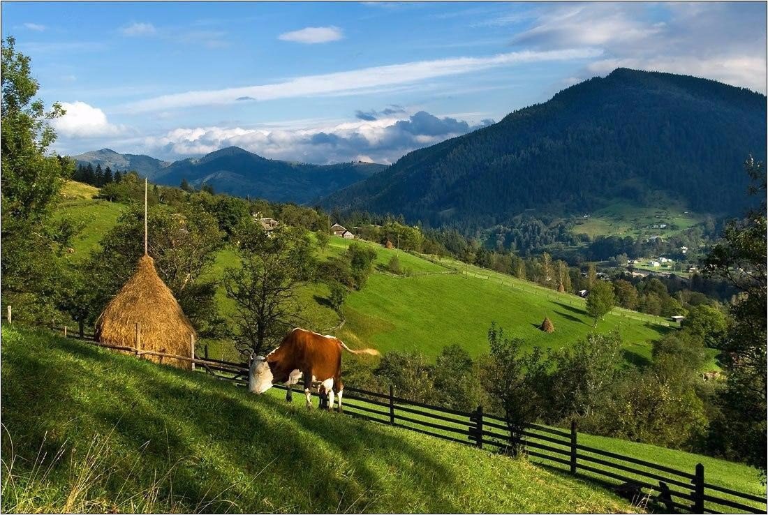 Карпаты горы Закарпатье