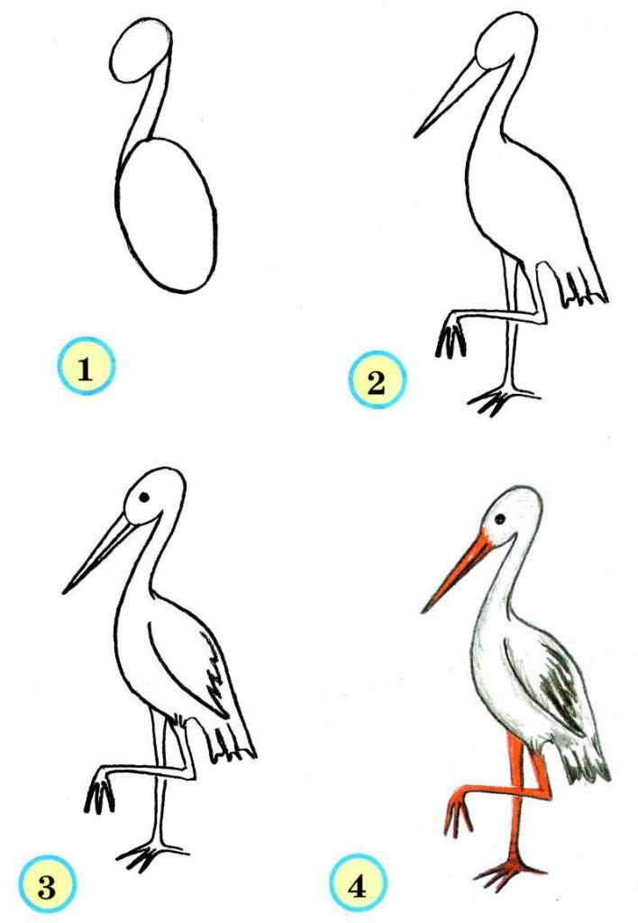 Как схематично нарисовать птицу