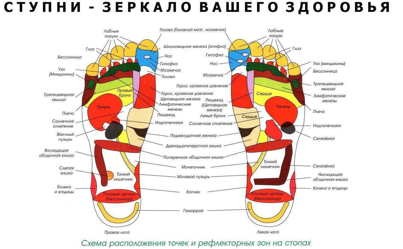 Болит левая стопа ноги снизу причина