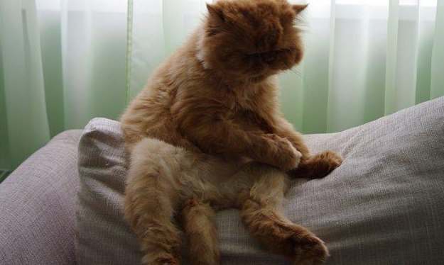 Проснулся мем. Просыпаюсь и думаю о тебе. Это тебя нет не проснешься. Доброе утро вставай просыпайся. Просыпайся.