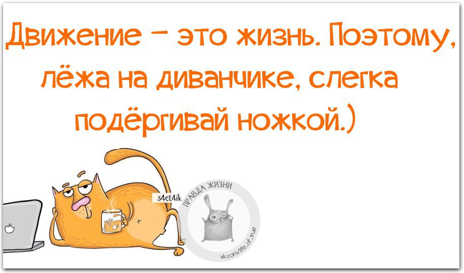 Работает поэтому. Движение это жизнь поэтому лежа на диванчике. Движение это жизнь, лежа на диванчике слегка подергивай ножкой. Движение это жизнь цитаты смешные. Движение это жизнь цитаты с юмором.