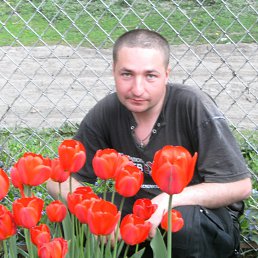 саша, 37 лет, Красилов