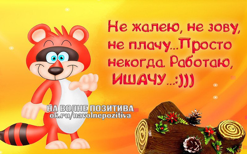 Некогда скучать. На волне позитива и хорошего настроения. Я тебя жалею картинки. На волне позитива картинки. На волне позитива и хорошего настроения картинки бесплатно.