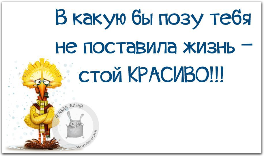 В какую бы позу не поставила жизнь стой красиво картинки