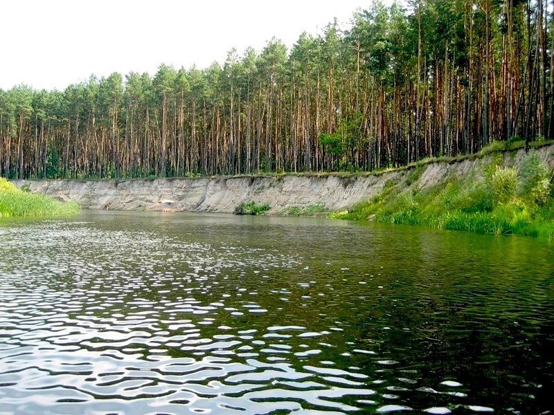 Курские реки