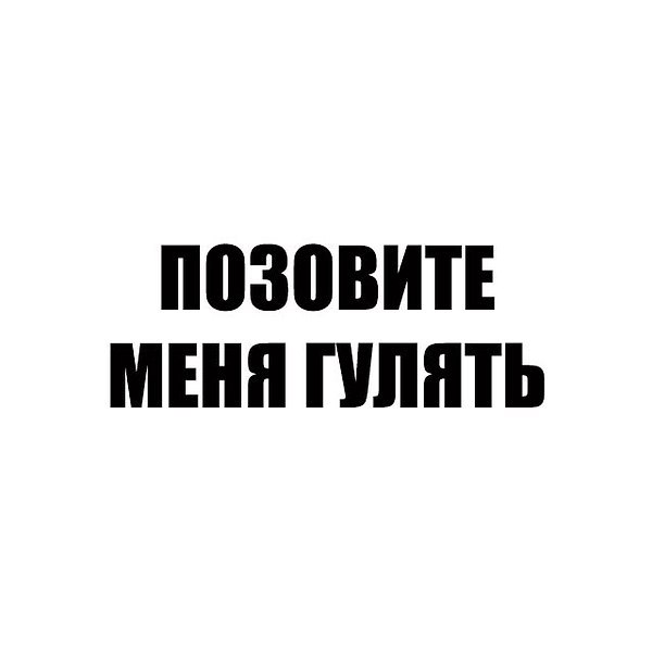 инструкцию я пошел гулять картинка надпись прервал
