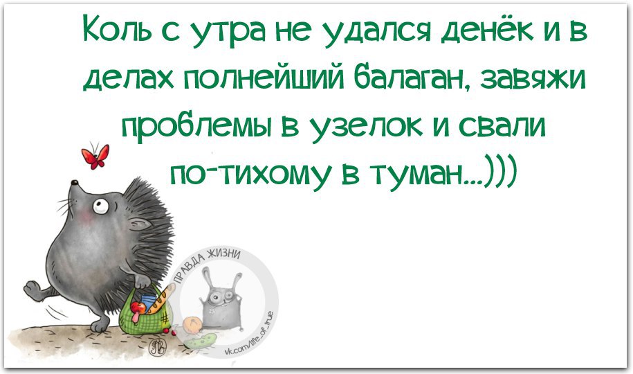 Дел полно. Взять узелок и уйти в туман. Собрать узелок и свалить в туман. Анекдот про узелок и туман. Анекдот про Ёжика и узелок.