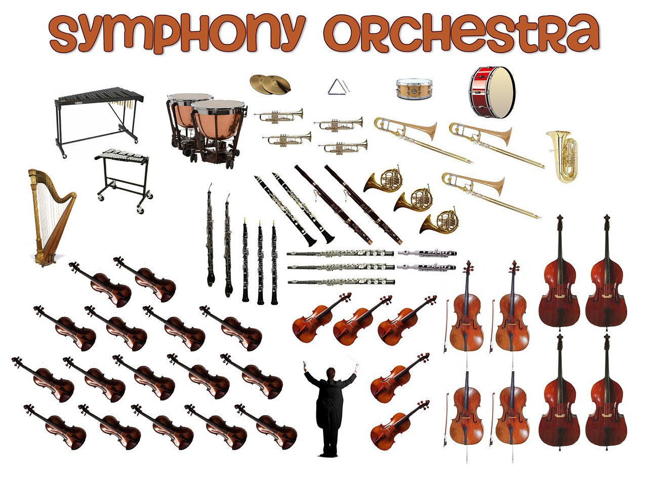 Название струнных музыкальных инструментов симфонического оркестра