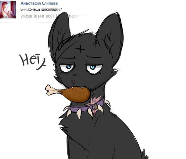 Коты воители картинки мемы