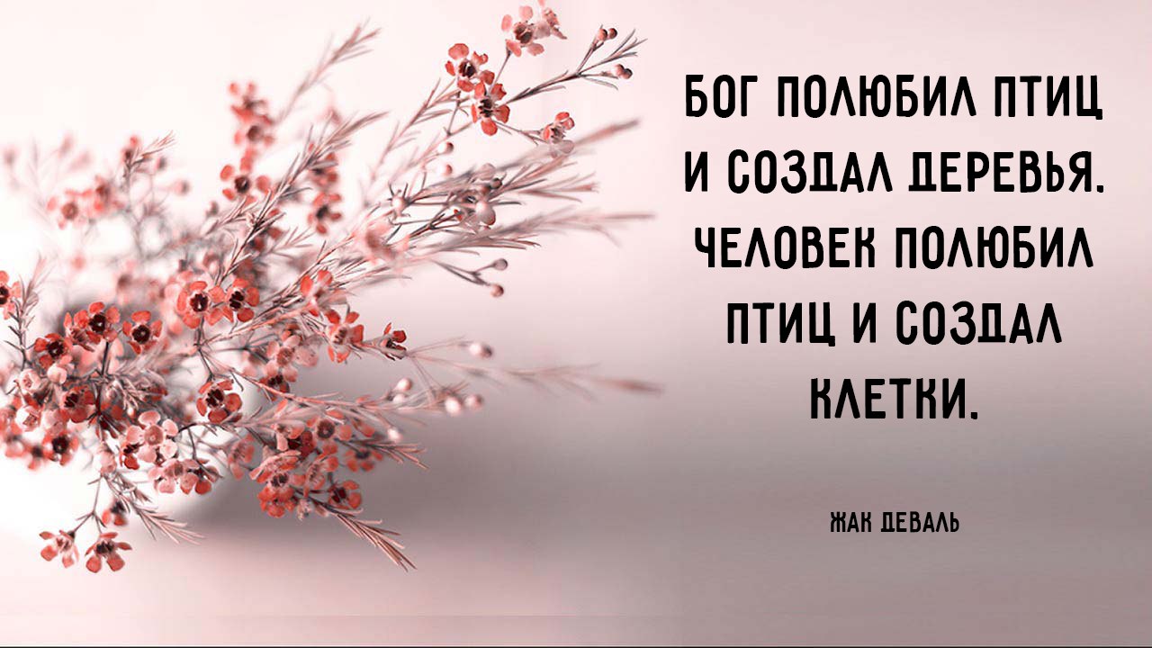 Как хочется чтоб время не спешило и хоть немного усмирило прыть картинки