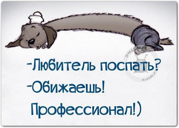 Картинки про соню засоню, форме сердечка
