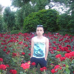 Александр, 29 лет, Новошахтинск