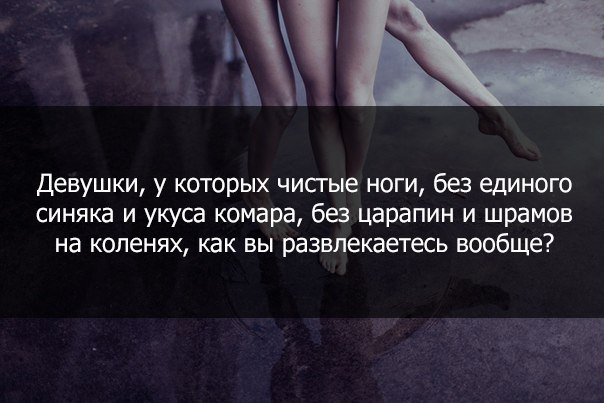 Синяки слова. Цитаты прикольные про синяк.