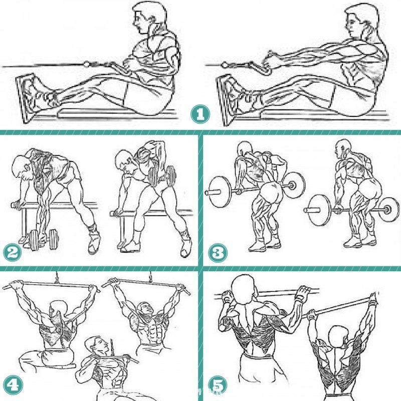 Упражнения на спину в тренажерном зале для мужчин в картинках
