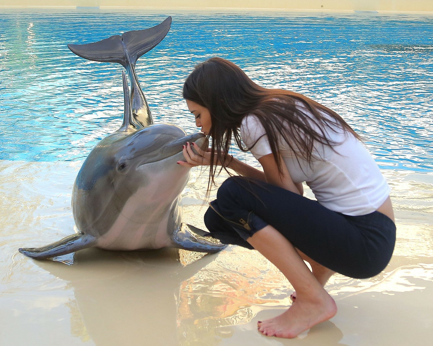 Девочка и Дельфин