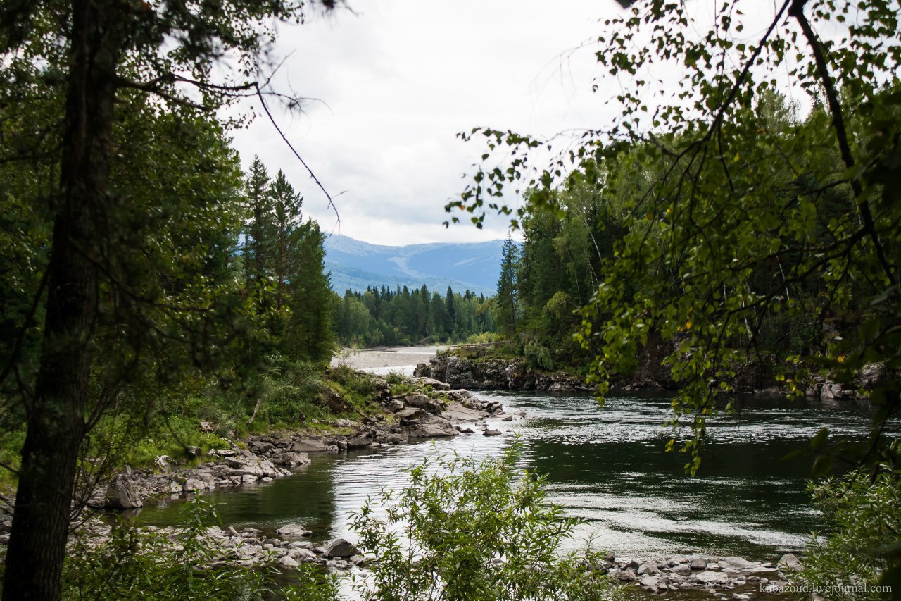 Курагино красноярский край фото