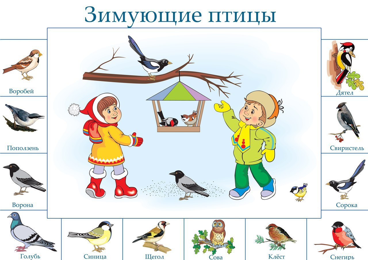 Задания для детей по теме зимующие птицы