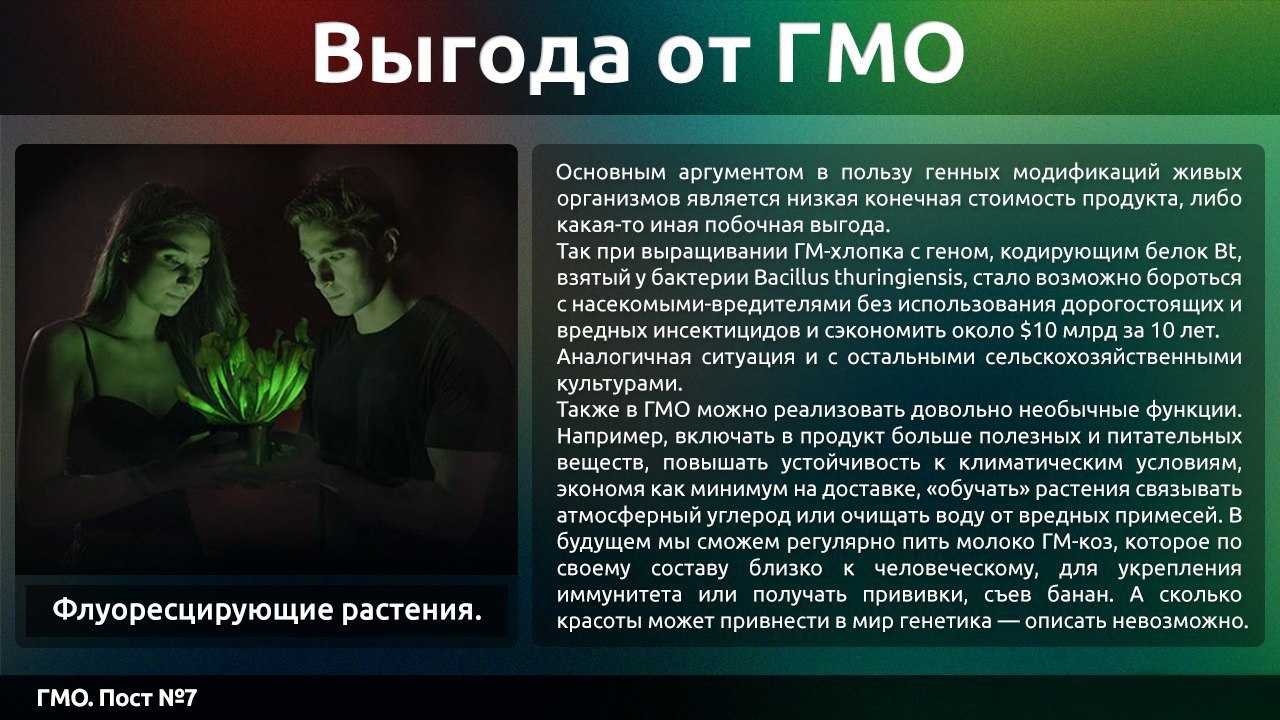 Гмо за и против. ГМО это хорошо или плохо. ГМО продукты это хорошо или плохо. Аргументы за модифицированную еду. Мифы о ГМО.