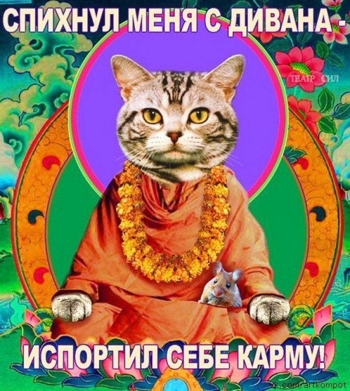 Кот будда рисунок