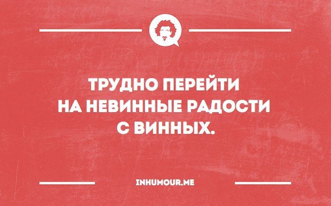 Невинные развлечения радуют не так как винные картинки с котом