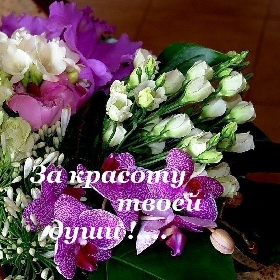 Первый днем, картинка спасибо за тепло твоей души