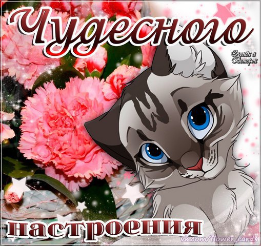 Рекламой, открытка улыбнись все будет хорошо для девушки
