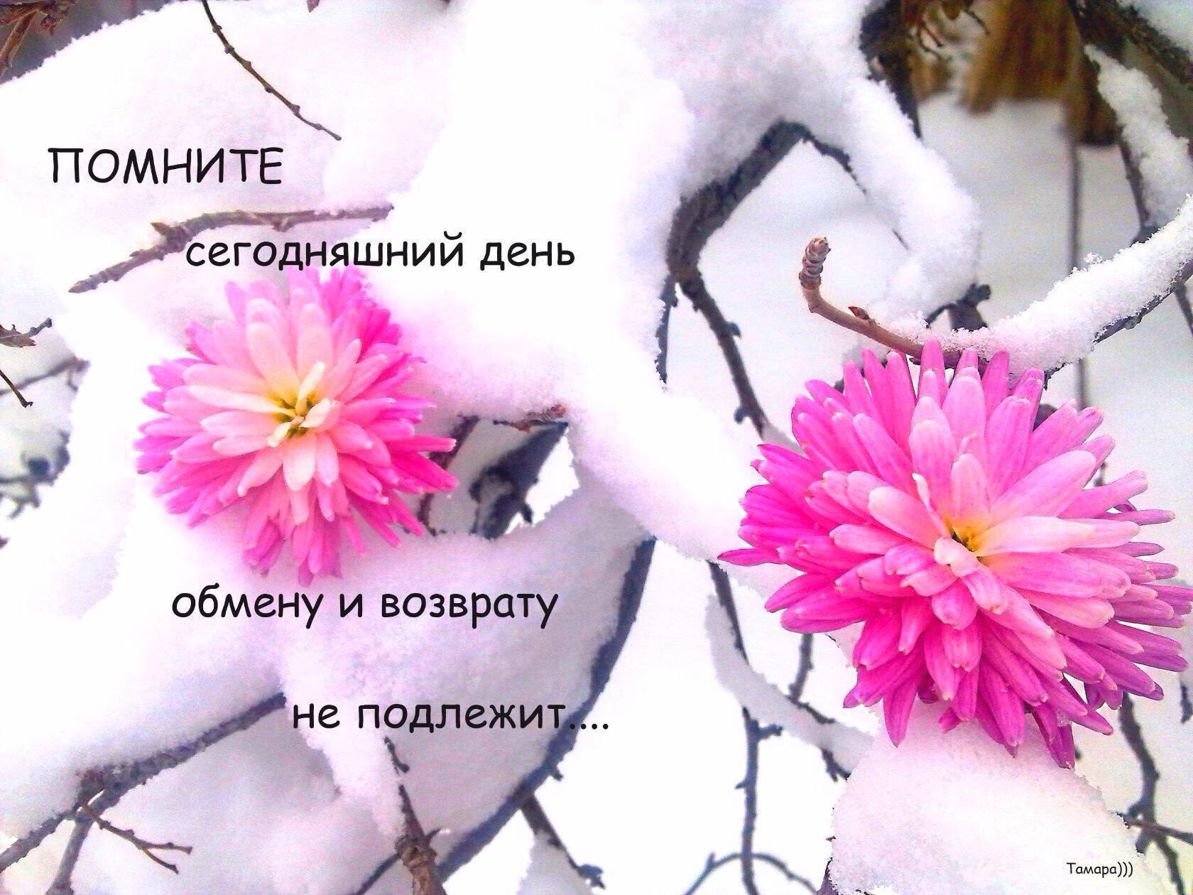 Сегодня день прошло. Сегодняшний день обмену и возврату не подлежит. Прожитый день обмену и возврату не подлежит. Помните этот день обмену и возврату не подлежит. Сегодняшний день обмену и возврату.