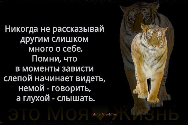 Позволять многое. Никогда не рассказывай другим слишком много о себе. Никогда не рассказывай другим слишком много о себе Помни. Никогда не рассказывай другим. Человек высокого мнения о себе.