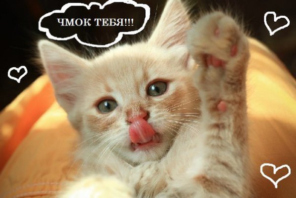 Первой рождественской, открытки еще во и чмоки
