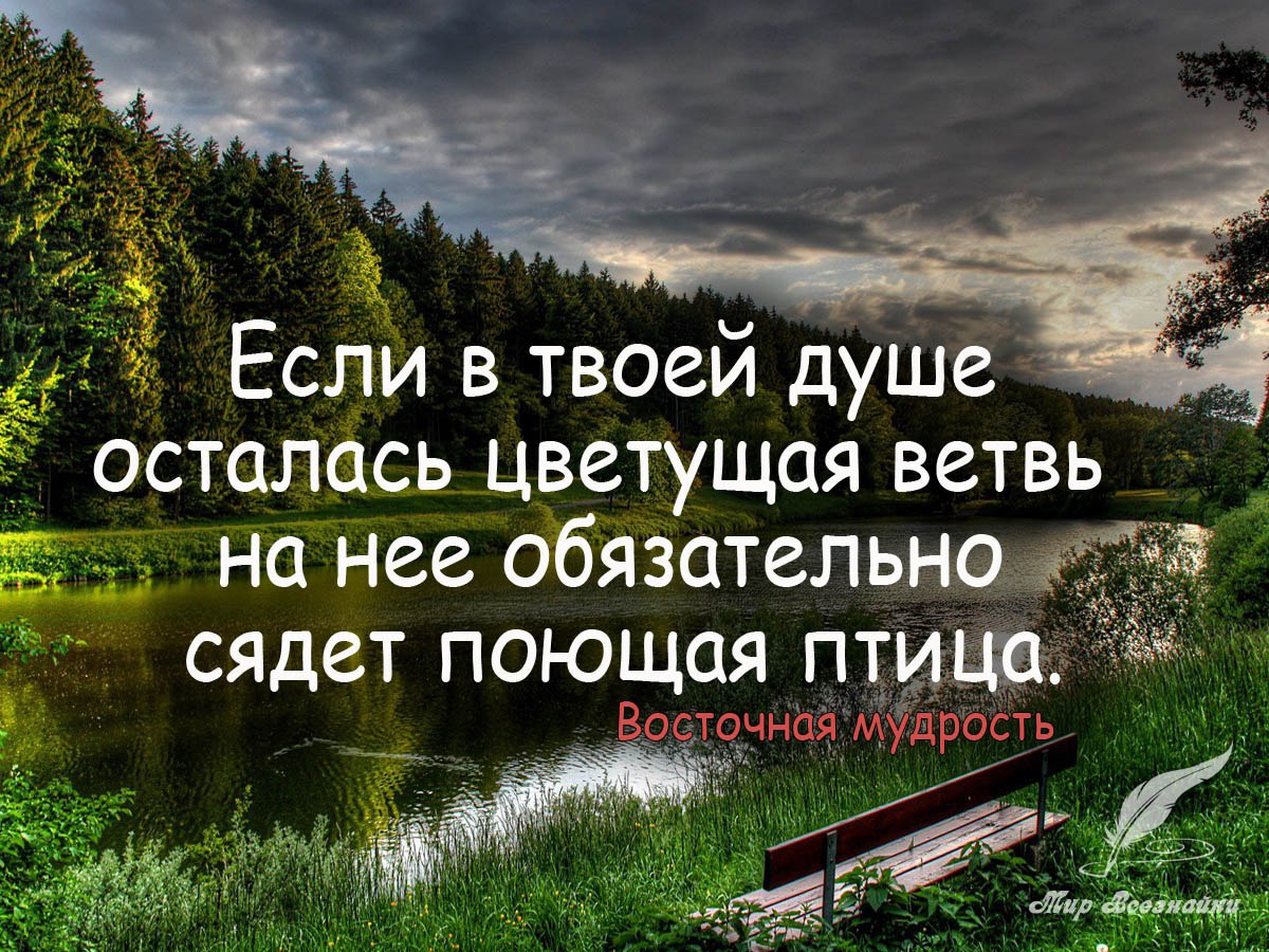 мудрость жизни просто для души картинки