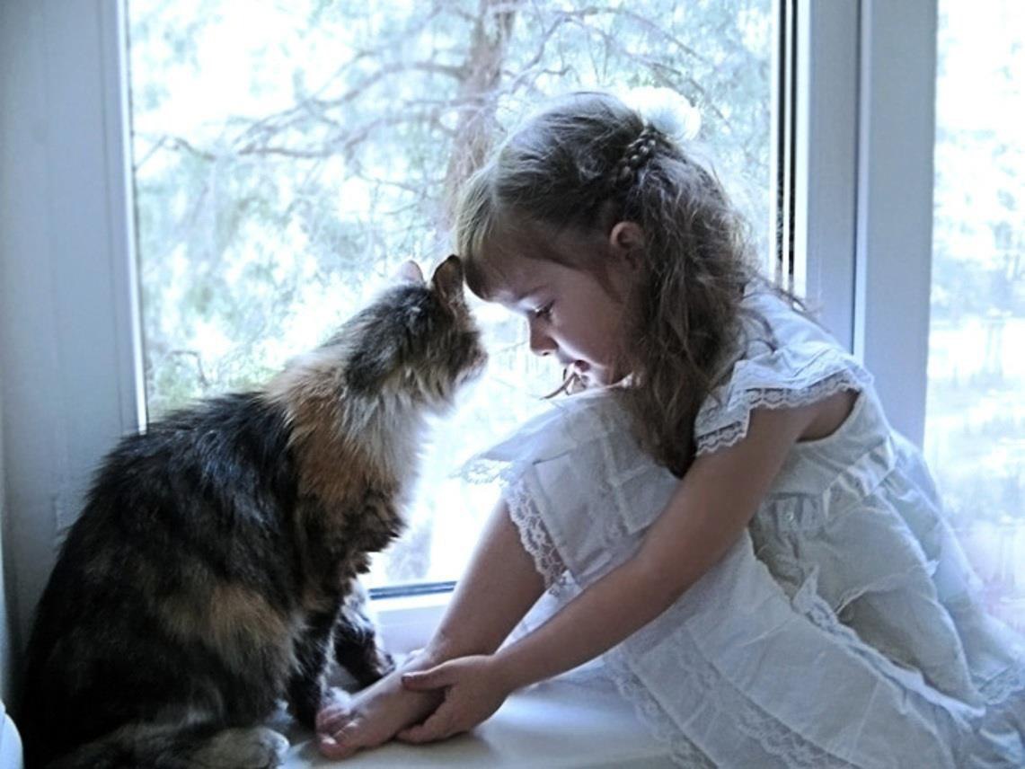 Девочка с кошкой у окна