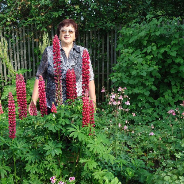 Фото женщины: Наталья Рачкова, 73 года,Рыбинск