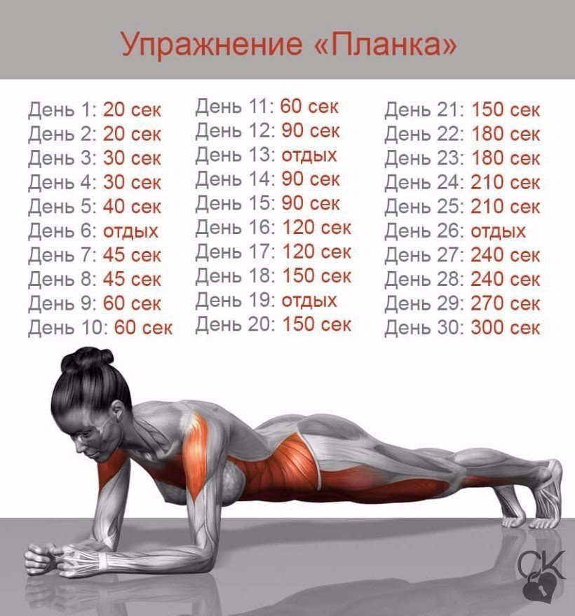 Упражнения на 30 дней для похудения в картинках