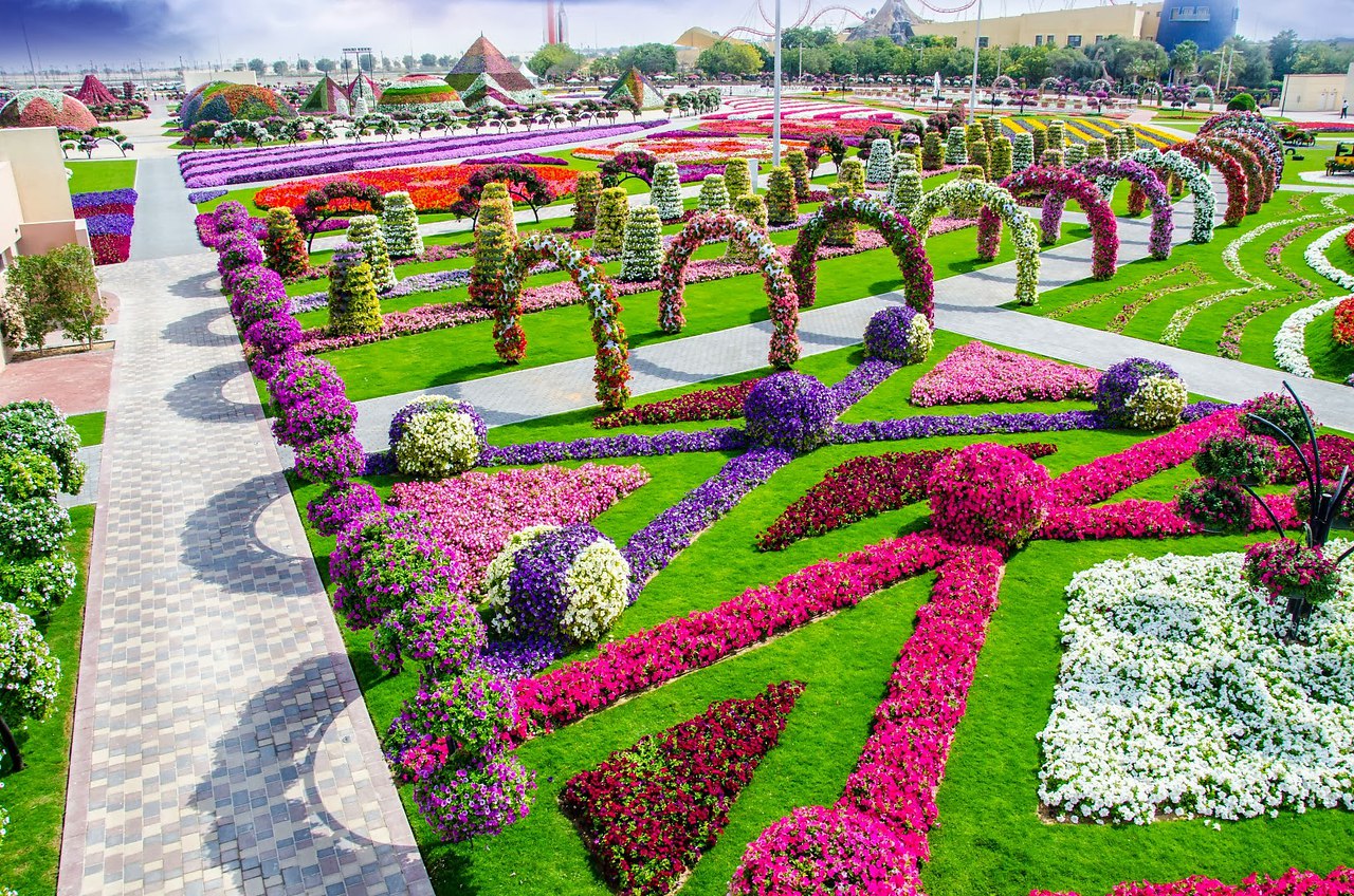 Dubai Miracle Garden рекорд Гиннесса