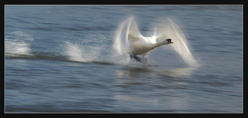 Я тебя отпускаю... ************* А вокруг весна и ... - Стихи:Наталья ...