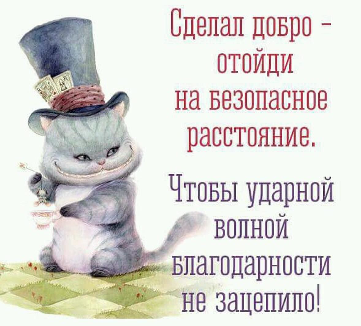 Сделал добро отойди на безопасное расстояние чтобы ударной волной благодарности не зацепило картинки