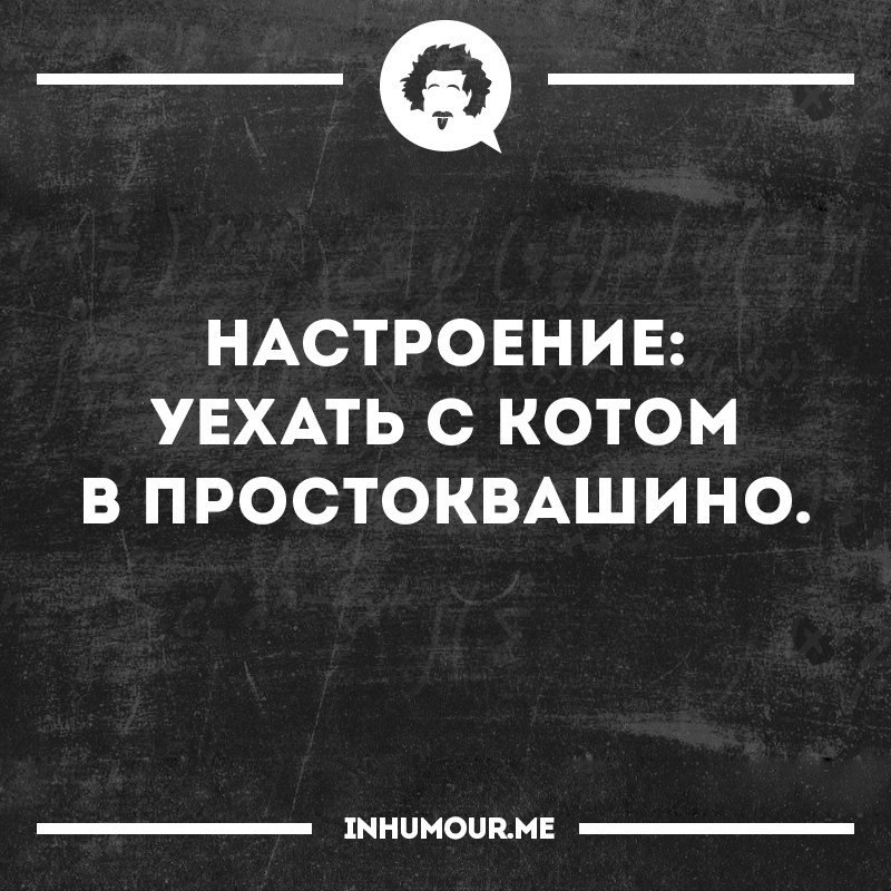 Настроение бросить все и уехать с котом в простоквашино картинки