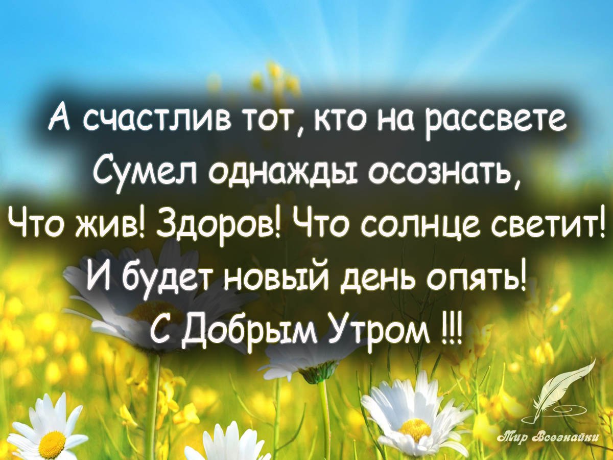 Доброе утро цитаты