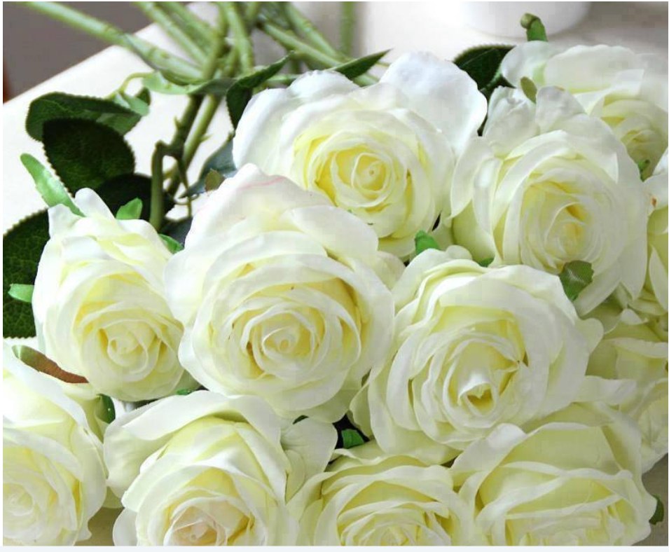 Белые розы для тебя фото