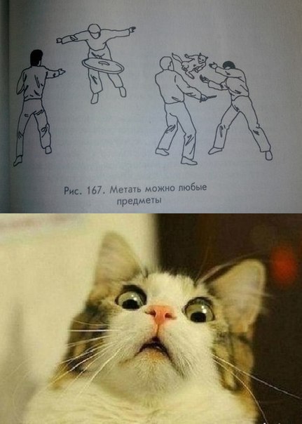 Мемы про котиков картинки Мемы про котиков картинки