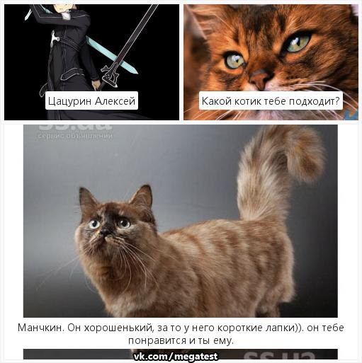По знаку зодиака. Какой ты кот по знаку зодиака. Котики по знаку зодиака. Животные ао знаку задидиаку. Какой ты кот по знаку зодиака.