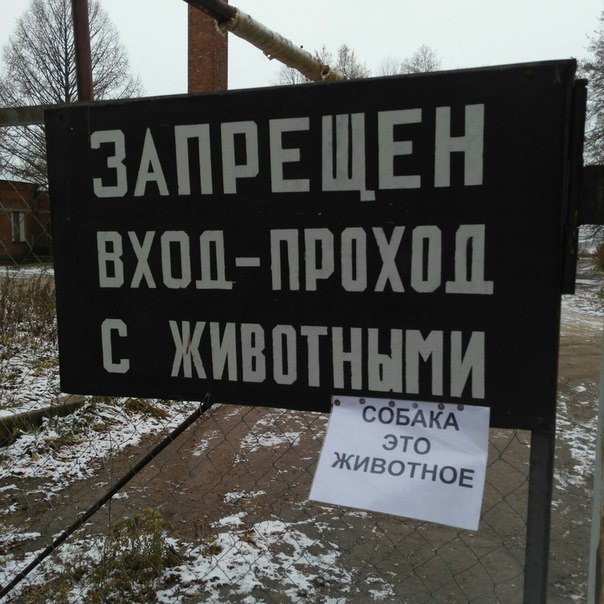Эту страну не победить приколы картинки