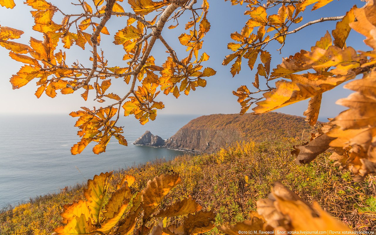 Осенние сопки Приморье